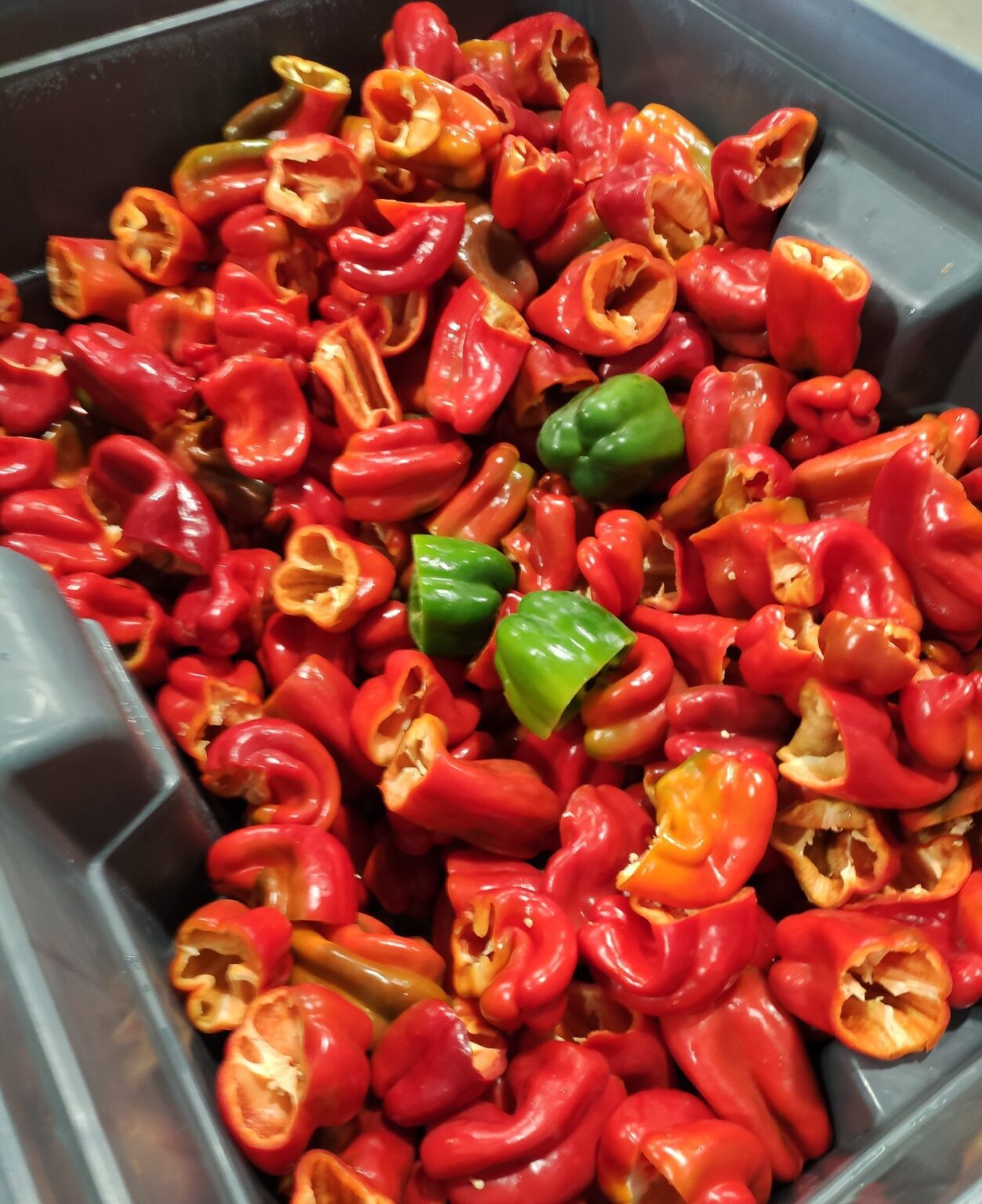 FreshCut Vegetables Canam Fresh